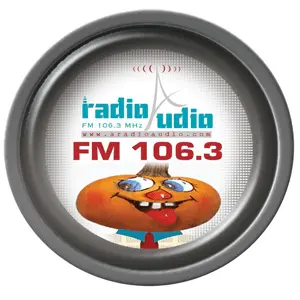 ラジオオーディオ 106.3 FM